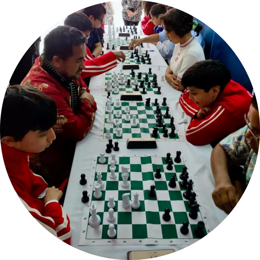 galeria colegio indonesia 18